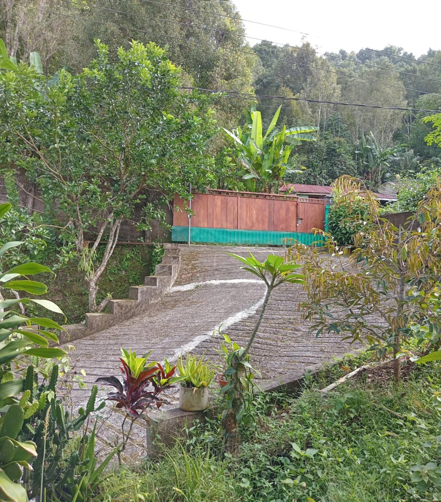 Kanaya Homestay & Warung Heaven Munduk  Ngoại thất bức ảnh